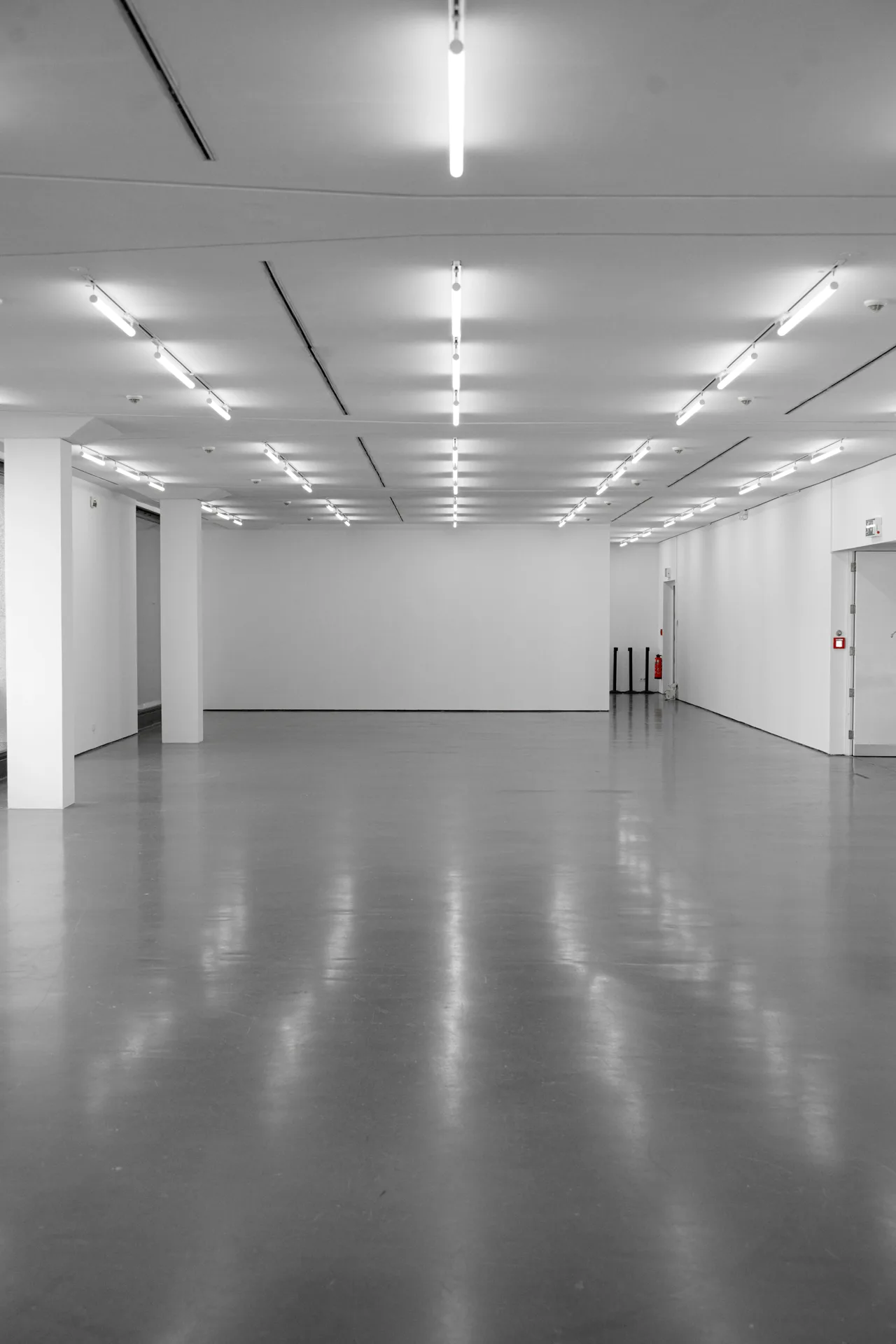 diamond grinder polishing a commercial concrete floor in Minneapolis