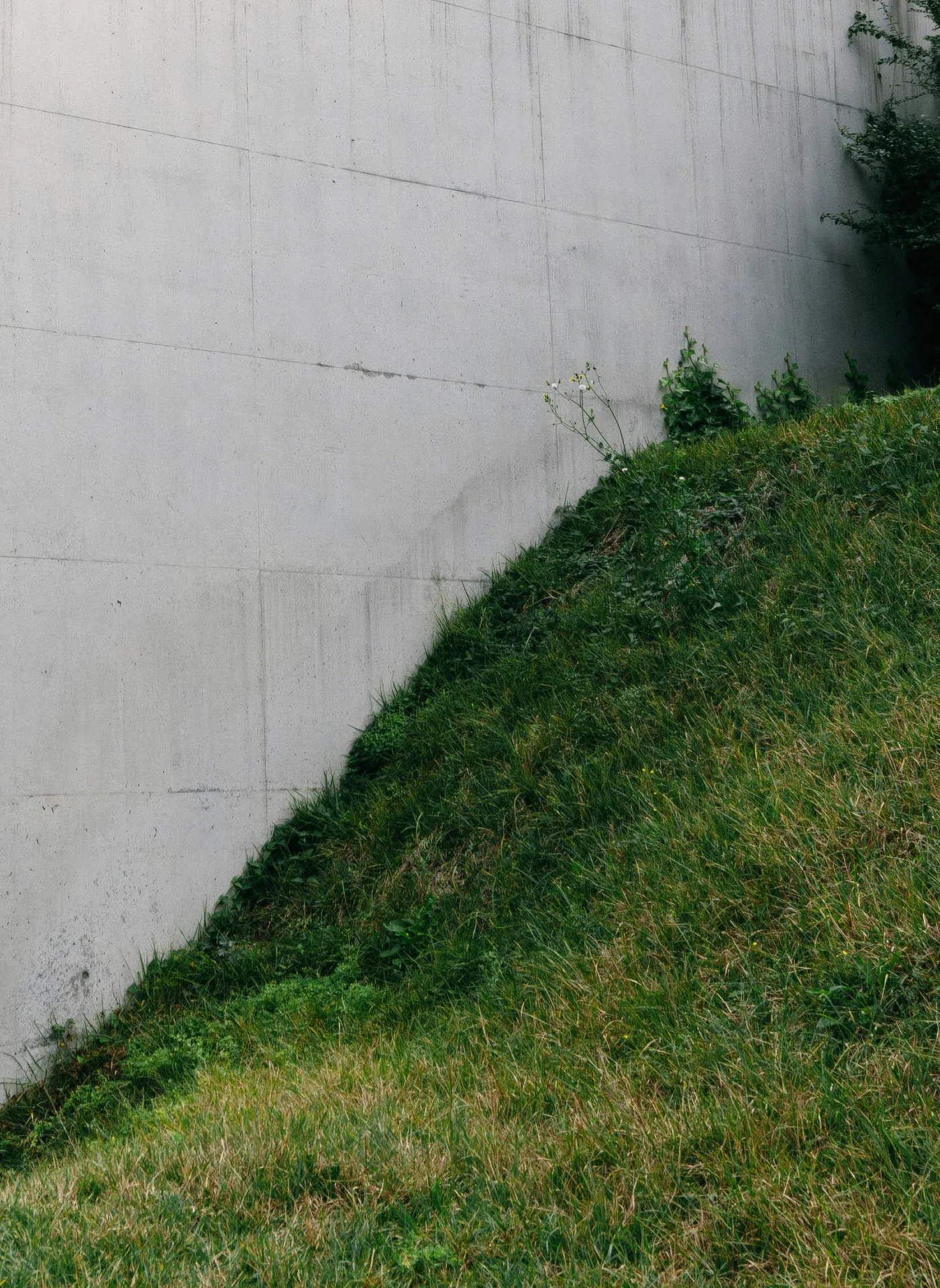 poured concrete retaining wall at a Minneapolis home